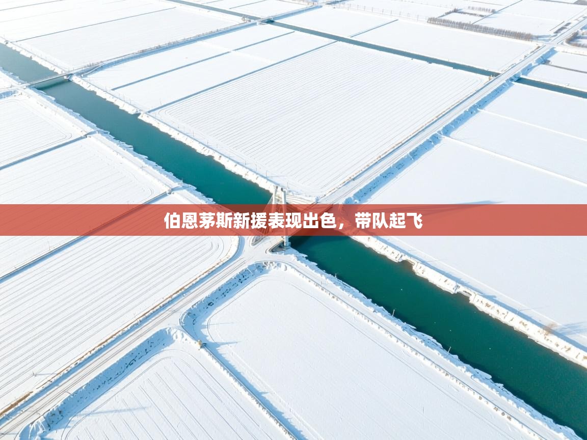 伯恩茅斯新援表现出色，带队起飞